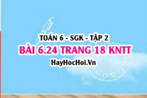 Bài 6.24 trang 18 Toán 6 Tập 2 Kết nối tri thức: Thự hiện phép tính phân số hợp lý